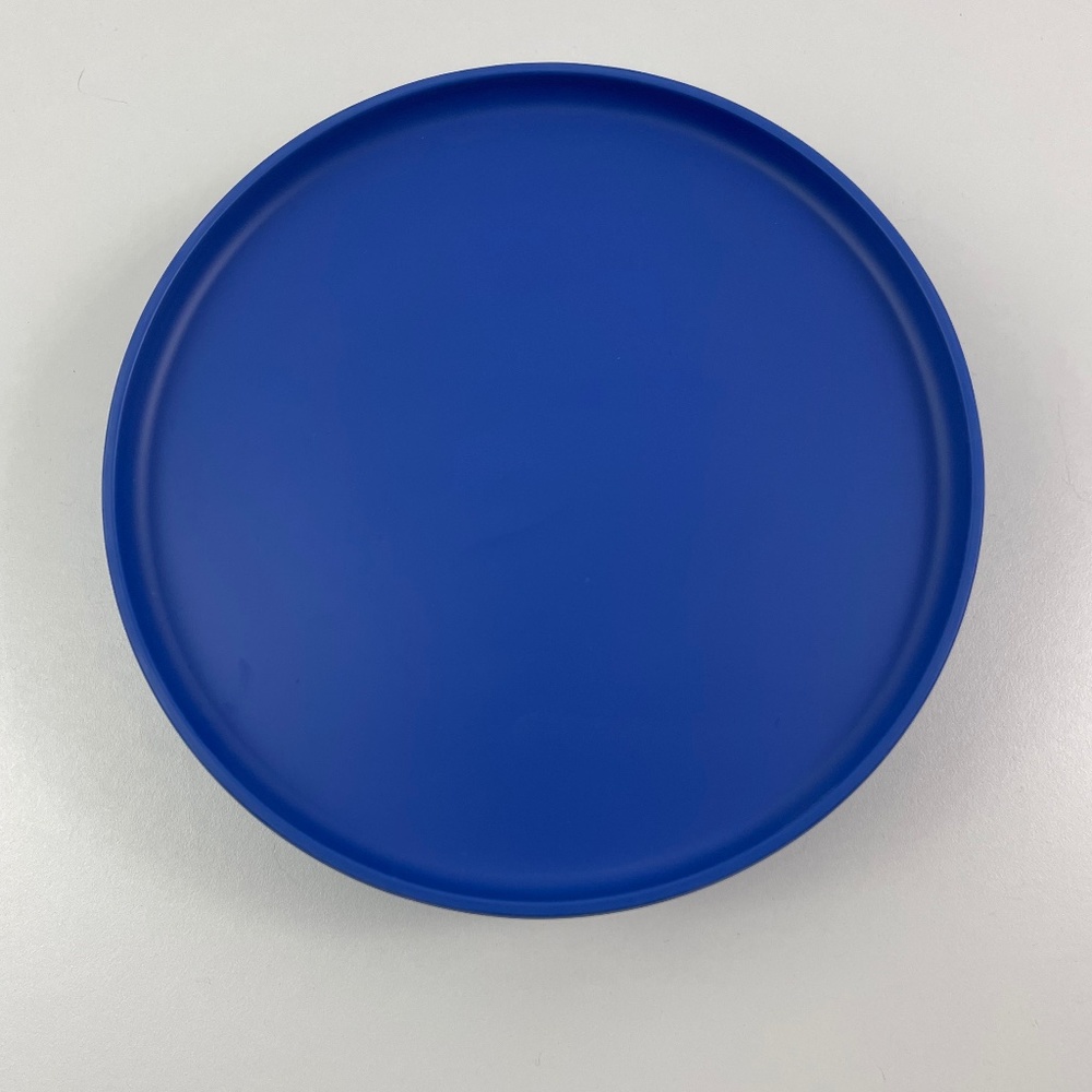 Set of FOUR West Elm Aaron Probyn Dinner Plates Melamine 8” Landscape Blue